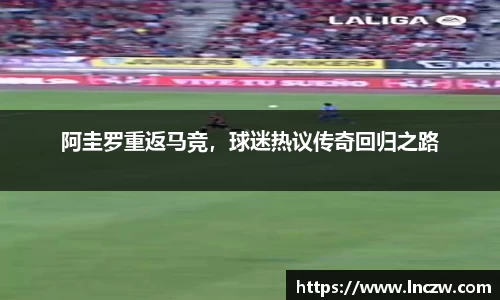 天博·综合体育官网入口