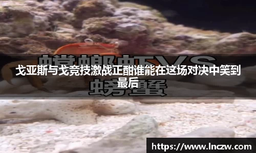 戈亚斯与戈竞技激战正酣谁能在这场对决中笑到最后